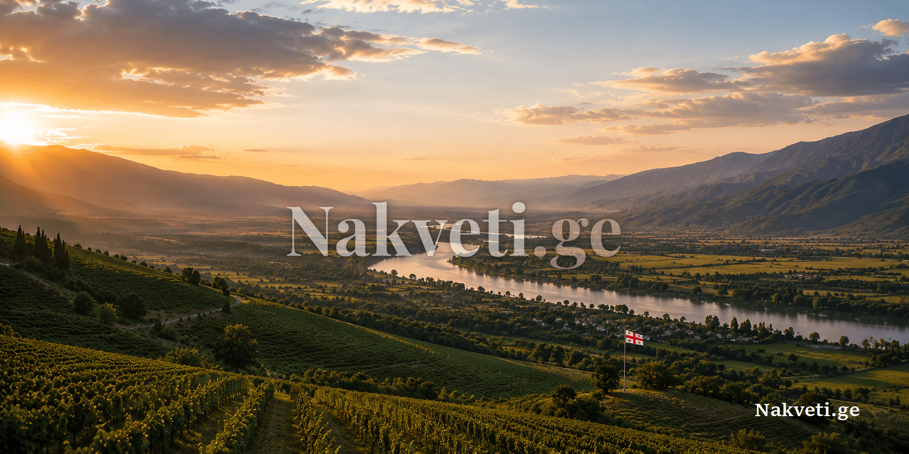 იყიდება მიწა ბიწმენდში