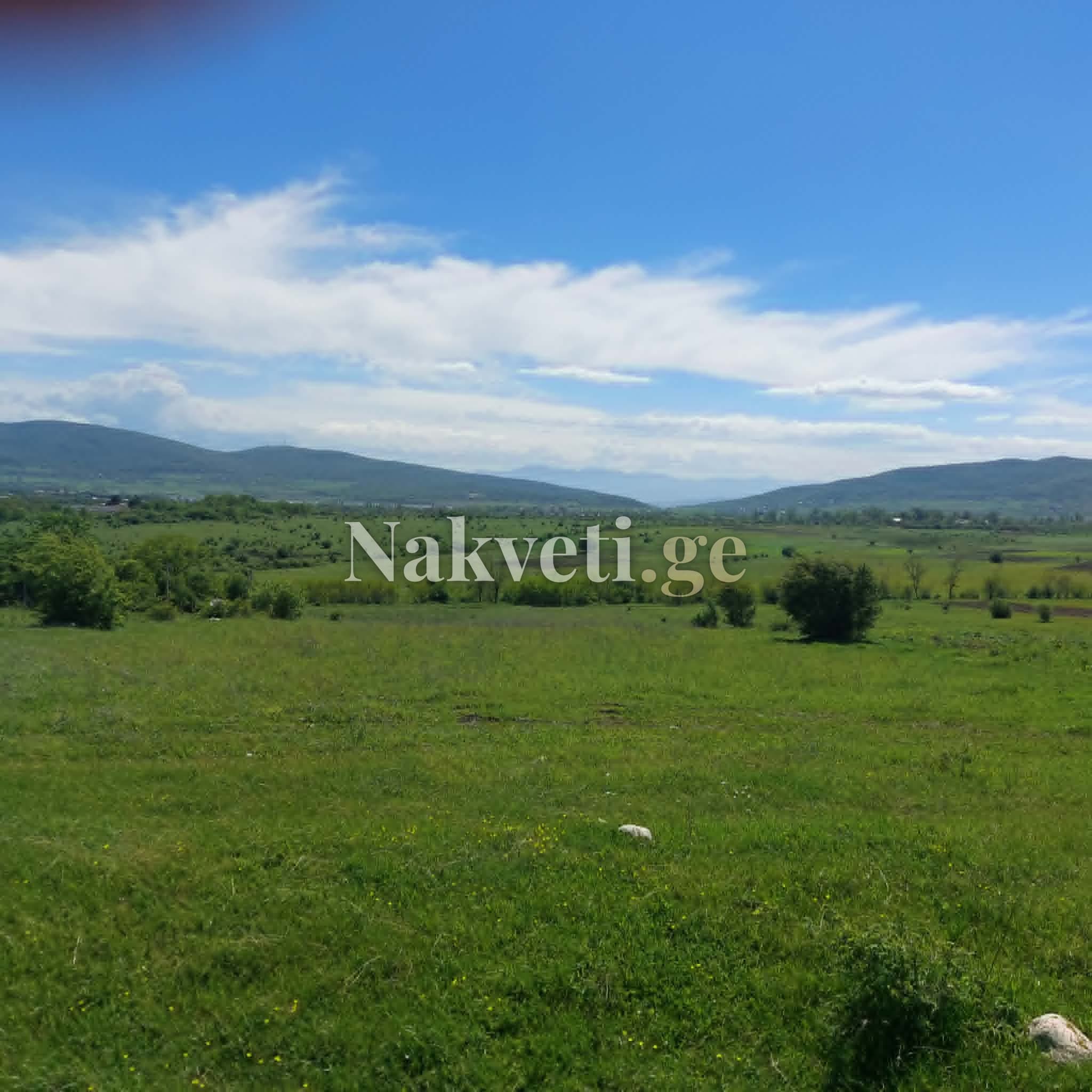 2900 სასოფლო სამეურნეო მიწა