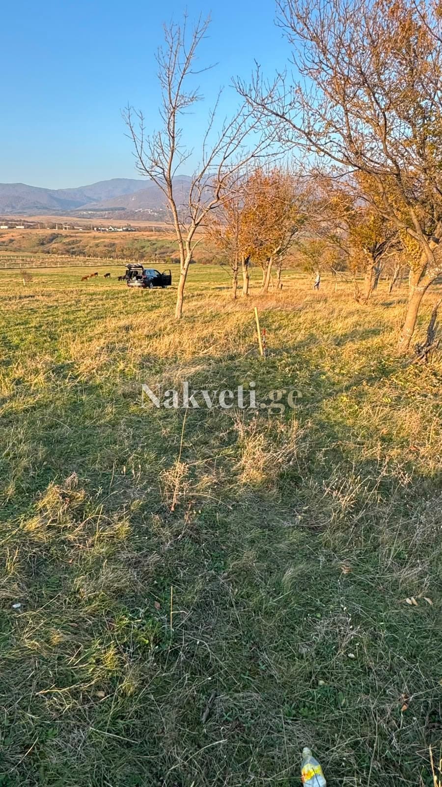 იყიდება მიწის ნაკვეთი სოფელ ნორიოში — 8,782 მ²